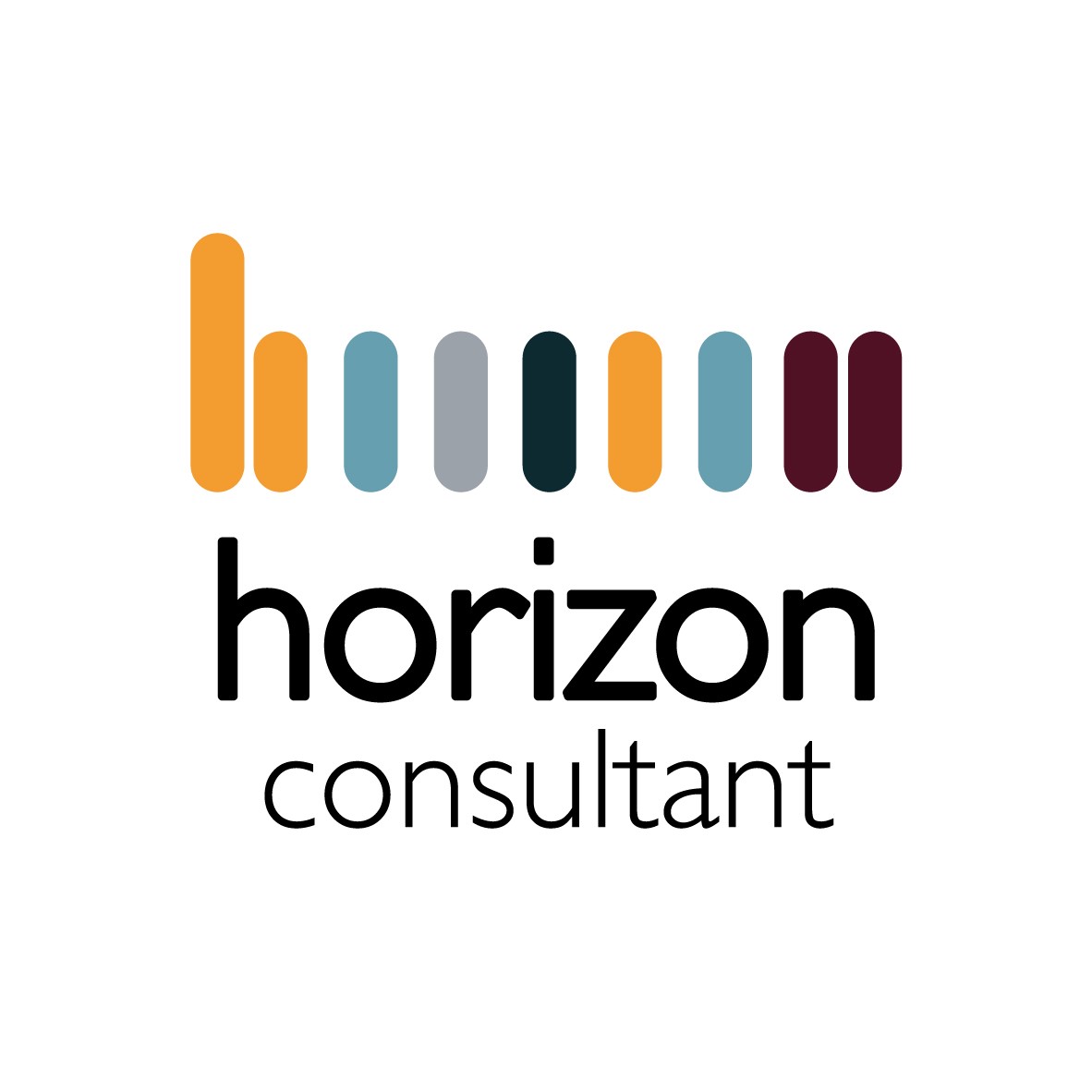 Horizon Consultant